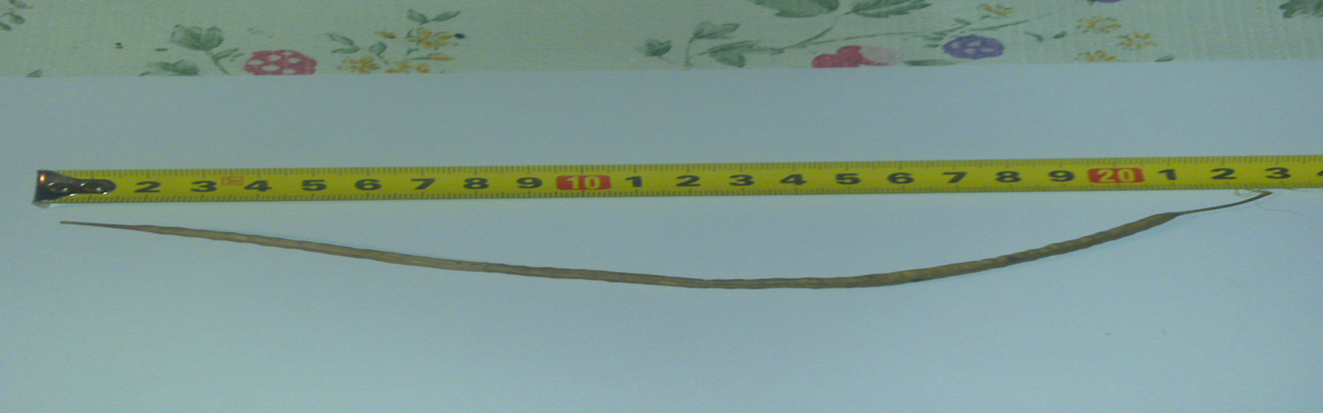 ОЗИМЫЙ РАПС  СABOTO  Bt 369
